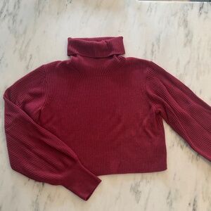 Aritzia Wilfred Ribbed Turtleneck Slim Knit Sweater S